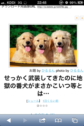 おもしろ 犬 画像 ゆるアプリ ボケて 名作まとめ3 うとうと情報局