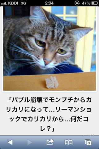 おもしろ 猫 画像 ゆるアプリ ボケて 名作まとめ5 うとうと情報局