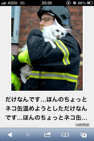 おもしろ 猫 画像 ゆるアプリ ボケて 名作まとめ5 うとうと情報局