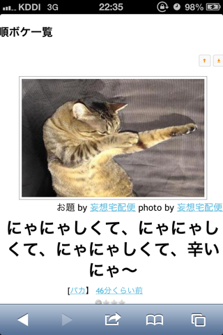 おもしろ 猫 画像 ゆるアプリ ボケて 名作まとめ5 うとうと情報局